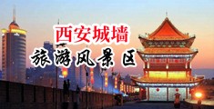 大咪咪大鸡巴操逼片中国陕西-西安城墙旅游风景区